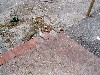 IMG_0227.jpg